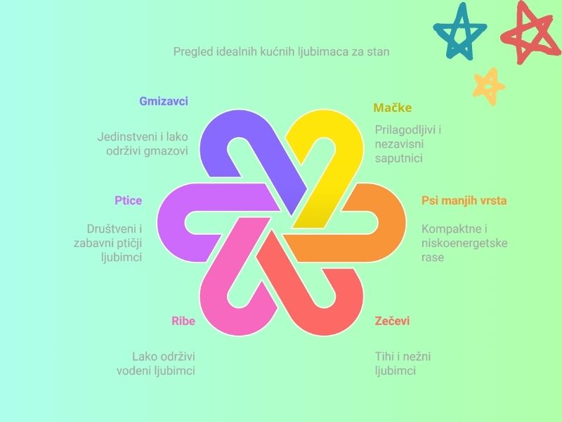 Infografik idealnih kucnih ljubimaca za stan